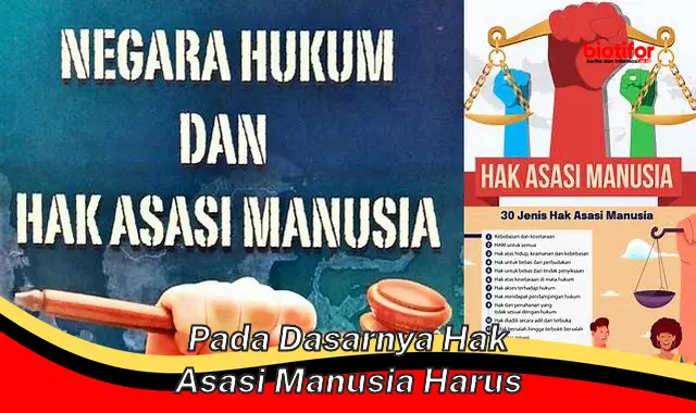 Hak Asasi Manusia Harus Dijunjung Tinggi: Pentingnya Melindungi Hak Dasar untuk Semua