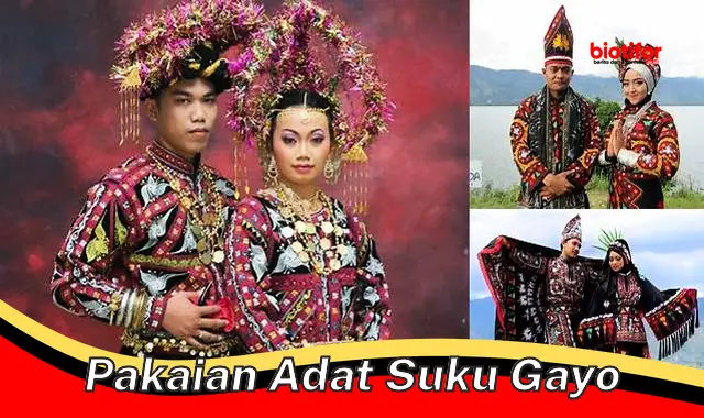 Mengenal Keunikan dan Filosofi Pakaian Adat Suku Gayo