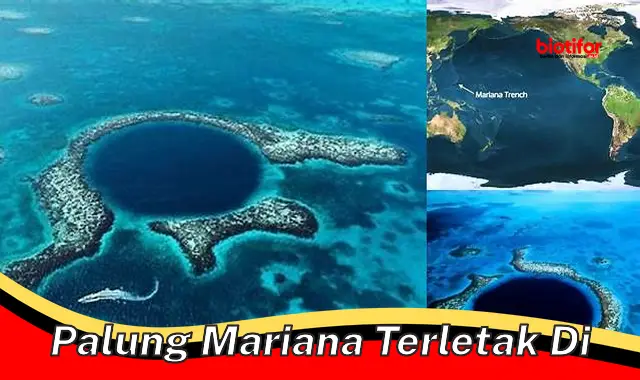 Lokasi Unik Palung Mariana: Kedalaman Misterius di Dasar Laut