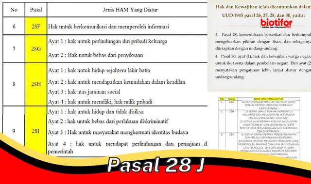 Jaminan Hak Identitas Kewarganegaraan dalam Pasal 28J