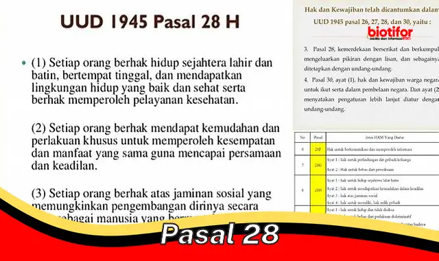 pasal 28 pasal 28
