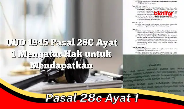 pasal 28c ayat 1