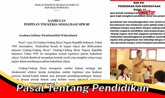 pasal tentang pendidikan