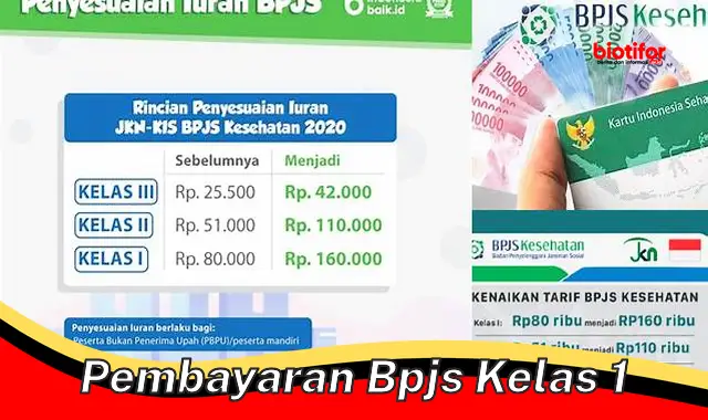 Panduan Lengkap Pembayaran BPJS Kesehatan Kelas 1