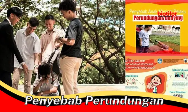 Penyebab Perundungan: Faktor Pemicu dan Dampaknya