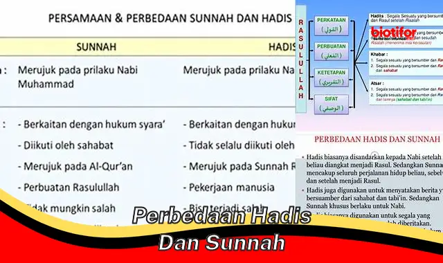 perbedaan hadis dan sunnah perbedaan hadis dan sunnah