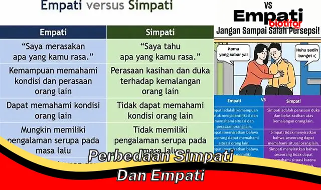 perbedaan simpati dan empati perbedaan simpati dan empati