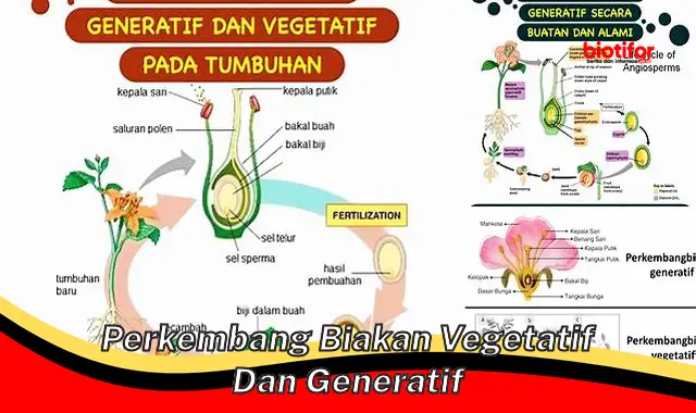 Panduan Lengkap Perkembangbiakan Vegetatif dan Generatif pada Tumbuhan