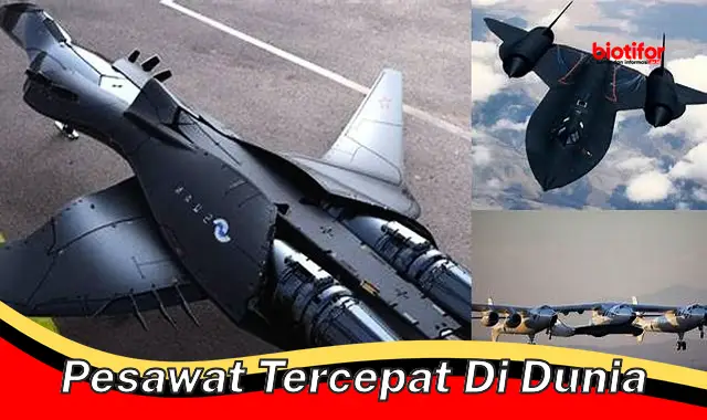 pesawat tercepat di dunia pesawat tercepat di dunia