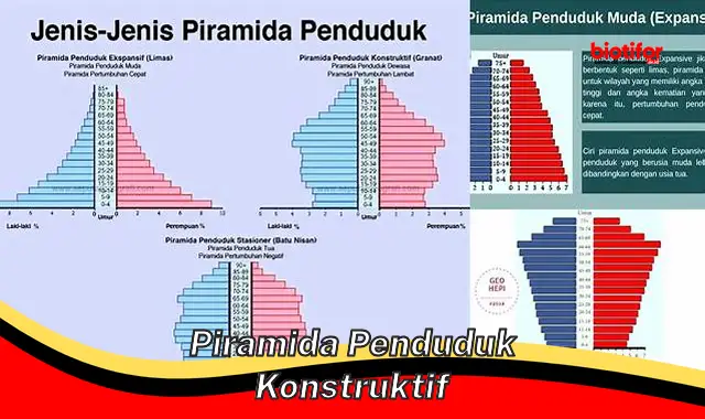 piramida penduduk konstruktif piramida penduduk konstruktif