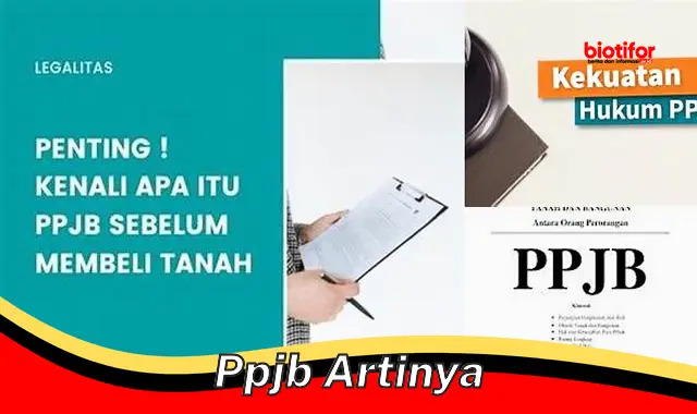 ppjb artinya ppjb artinya