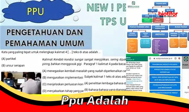 ppu adalah ppu adalah