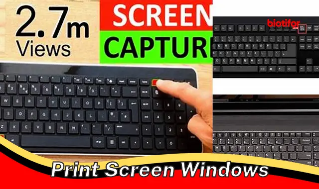 print screen windows print screen windows