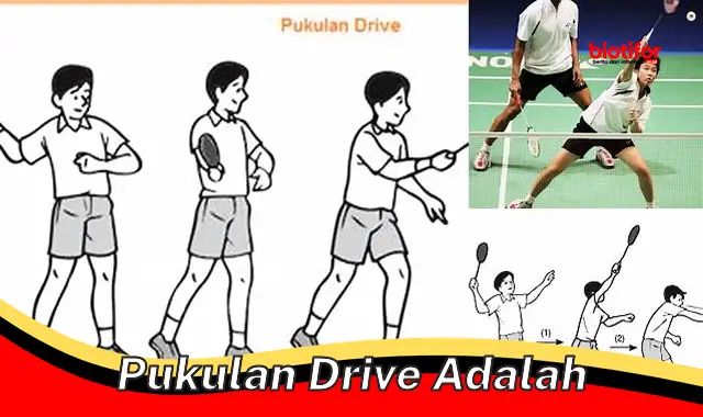pukulan drive adalah pukulan drive adalah