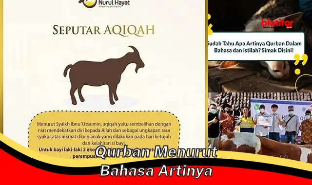 Pengertian Qurban Menurut Bahasa: Mendekatkan Diri pada Allah SWT