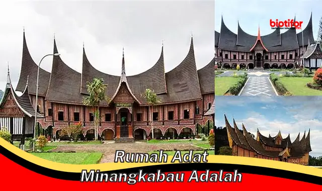rumah adat minangkabau adalah rumah adat minangkabau adalah