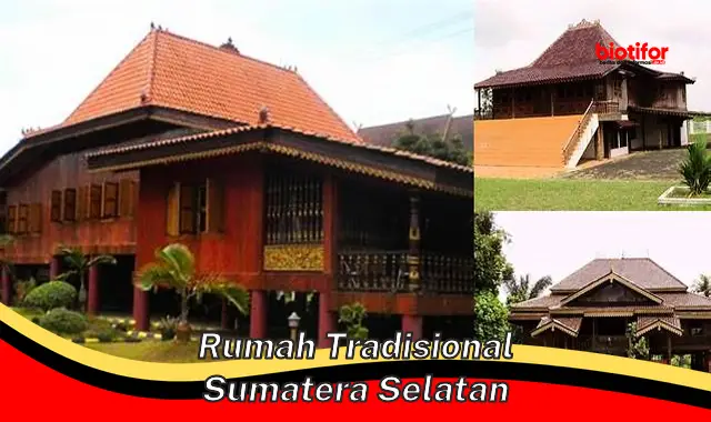 Kenali Rumah Tradisional Sumatera Selatan: Simbol Budaya yang Khas