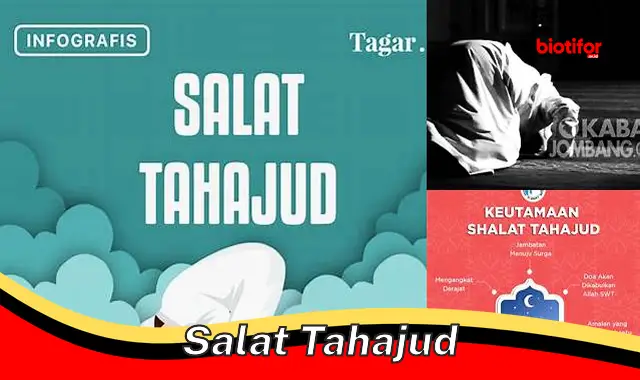 Rahasia Salat Tahajud: Keutamaan, Waktu, dan Tips Istiqomah