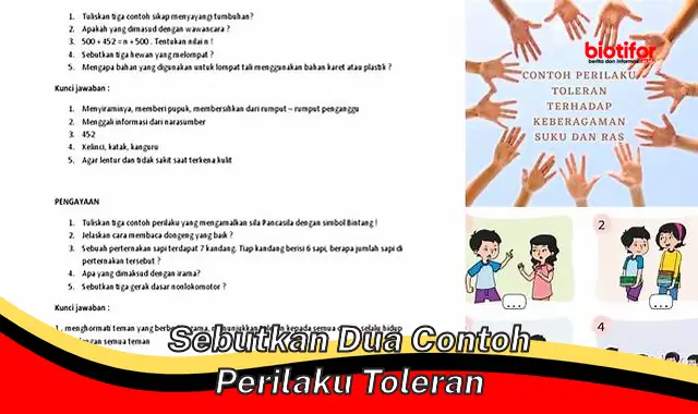 Contoh Praktis: 2 Perilaku Toleransi untuk Masyarakat Harmonis