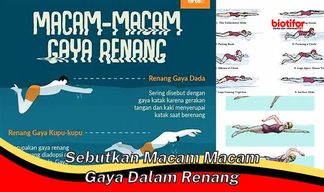 Mengenal Beragam Gaya Renang: Panduan Lengkap untuk Perenang