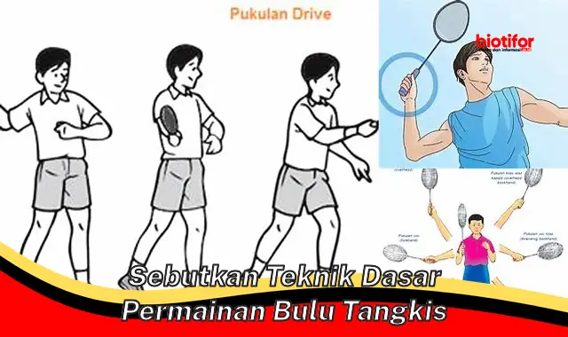 Teknik Dasar Bulu Tangkis: Panduan Penting untuk Penguasaan Sempurna