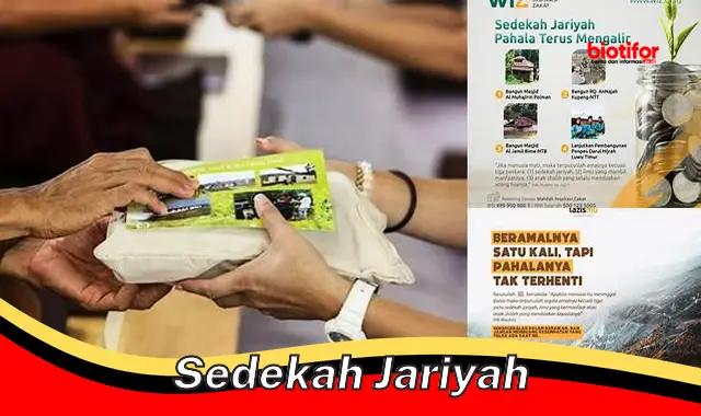 sedekah jariyah sedekah jariyah