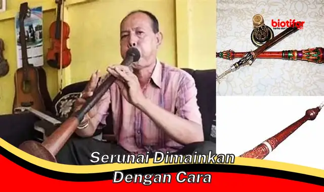 serunai dimainkan dengan cara serunai dimainkan dengan cara