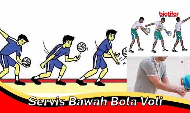 Panduan Servis Bawah Bola Voli: Teknik Penting untuk Kemenangan