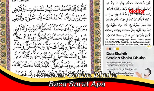 setelah sholat dhuha baca surat apa