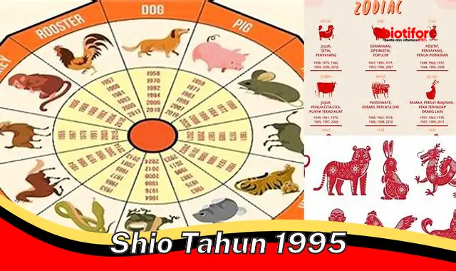 Rahasia Shio Babi Hutan (1995): Sifat, Karakter, dan Keberuntungan