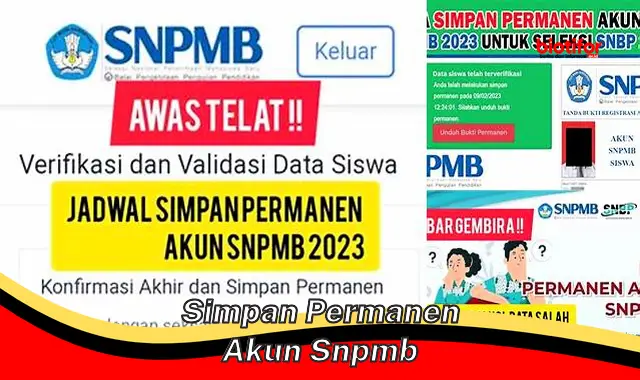 simpan permanen akun snpmb simpan permanen akun snpmb