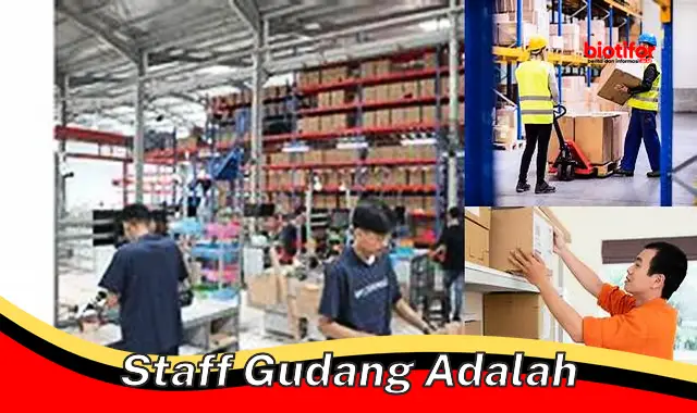 staff gudang adalah staff gudang adalah