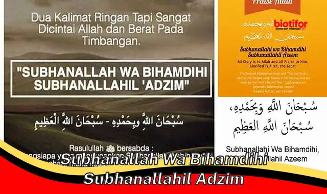 subhanallah wa bihamdihi subhanallahil adzim subhanallah wa bihamdihi subhanallahil adzim