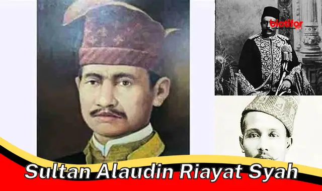 sultan alaudin riayat syah
