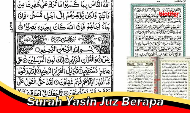 surah yasin juz berapa surah yasin juz berapa
