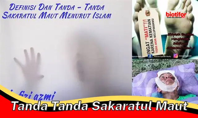 tanda tanda sakaratul maut tanda tanda sakaratul maut