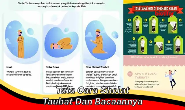 tata cara sholat taubat dan bacaannya tata cara sholat taubat dan bacaannya