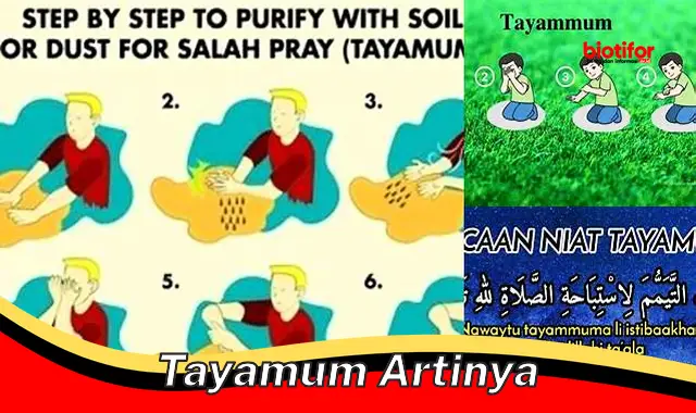 tayamum artinya tayamum artinya