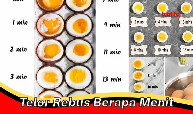Rahasia Telur Rebus Sempurna: Berapa Menit Ideal untuk Hasil Terbaik