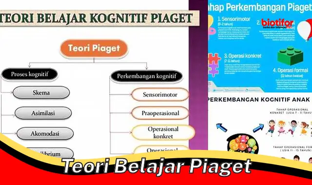 Pahami Perkembangan Kognitif Anak dengan Teori Belajar Piaget