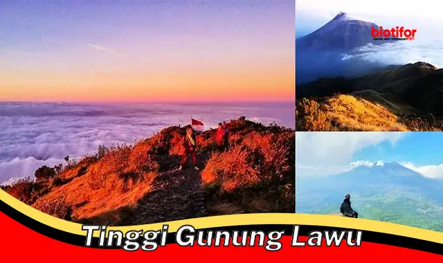 Rahasia di Balik Ketinggian Megah Gunung Lawu