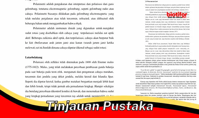 Pentingnya Tinjauan Pustaka dalam Penelitian: Panduan Komprehensif