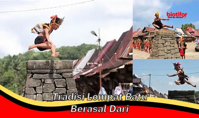 tradisi lompat batu berasal dari tradisi lompat batu berasal dari