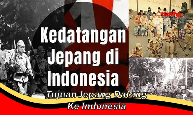 tujuan jepang datang ke indonesia