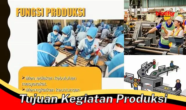 Pentingnya Tujuan Kegiatan Produksi untuk Memenuhi Kebutuhan Masyarakat