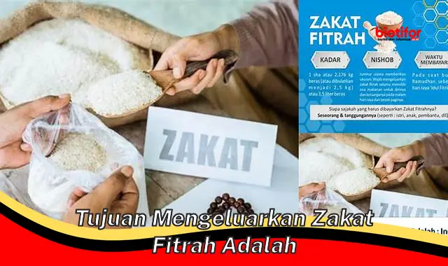 Tujuan Utama Membayar Zakat Fitrah: Panduan Lengkap