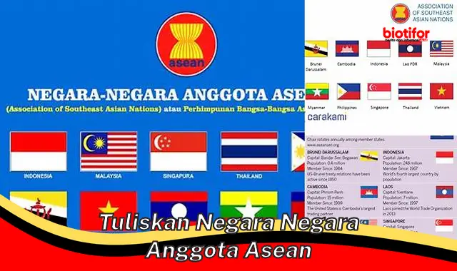 tuliskan negara negara anggota asean tuliskan negara negara anggota asean