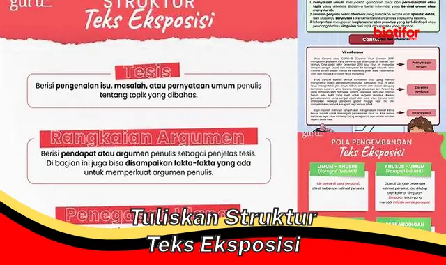 Panduan Praktis Menulis Struktur Teks Eksposisi yang Efektif dan Informatif