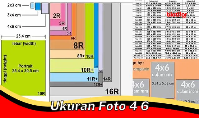 ukuran foto 4 6 ukuran foto 4 6