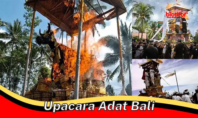 upacara adat bali upacara adat bali